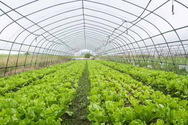 greenhouse