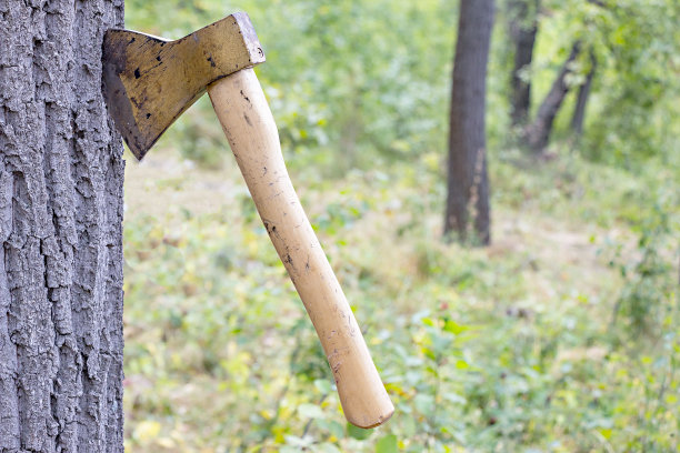 axe