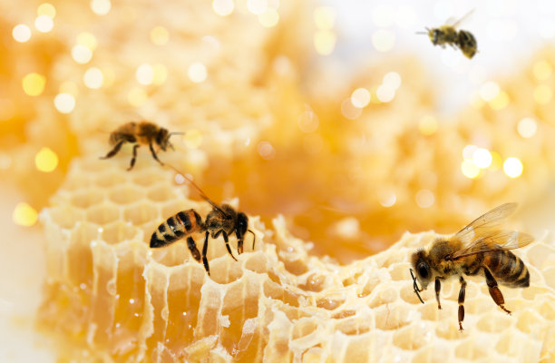 honey