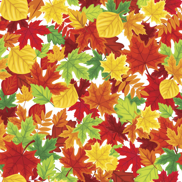 多彩枫叶无缝图案矢量背景
