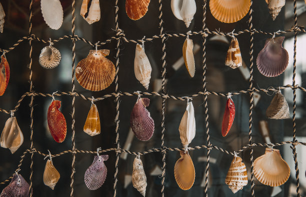 shells