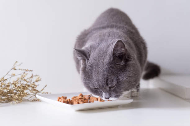 eating