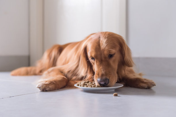 eat