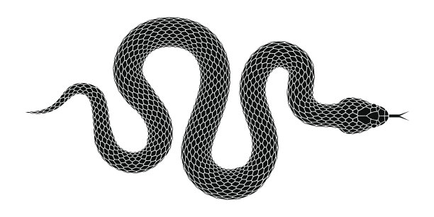 snake