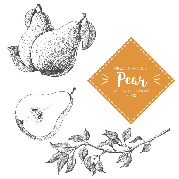 pyrus