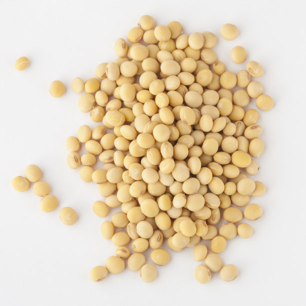 legume