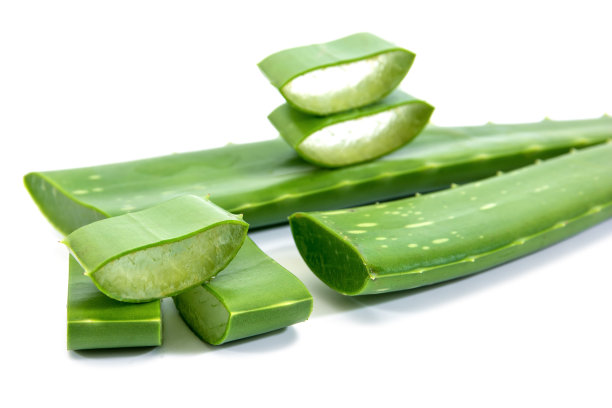 aloe