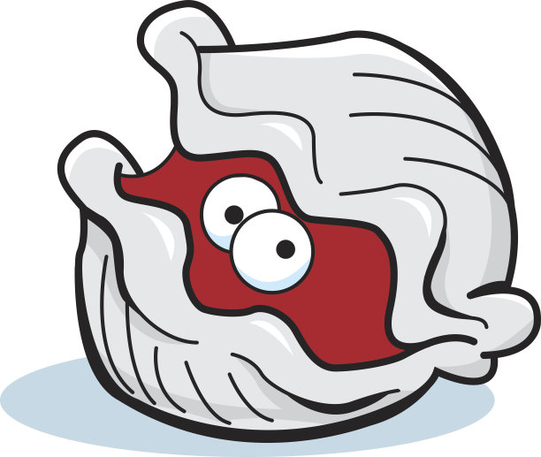 tridacna