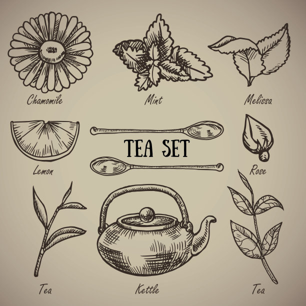 绘图茶叶