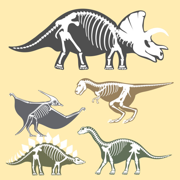 霸王龙骨骼化石