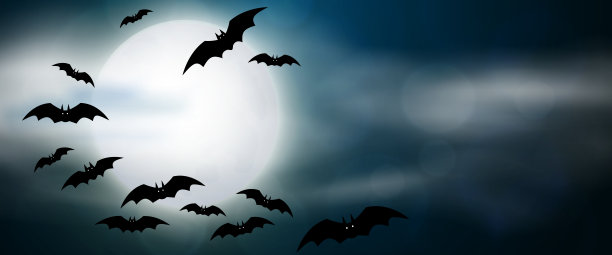bat