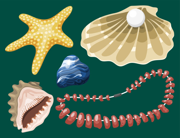 矢量动物海洋生物海螺