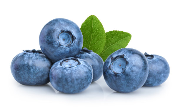 蓝莓新鲜蓝莓