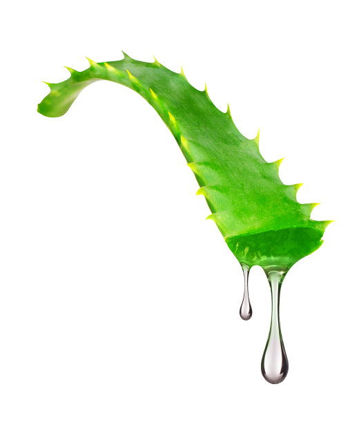 aloe