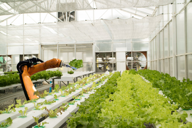 agricultural