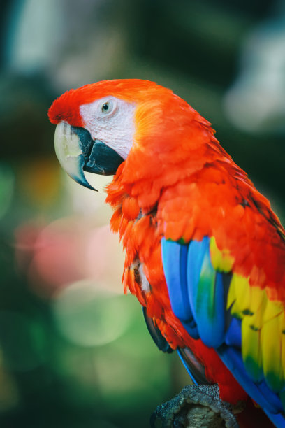 zoo