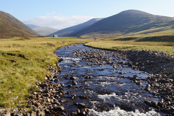 heath