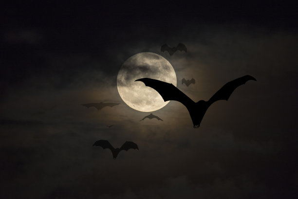 bat