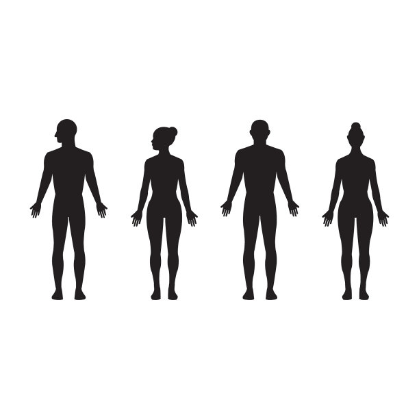 body