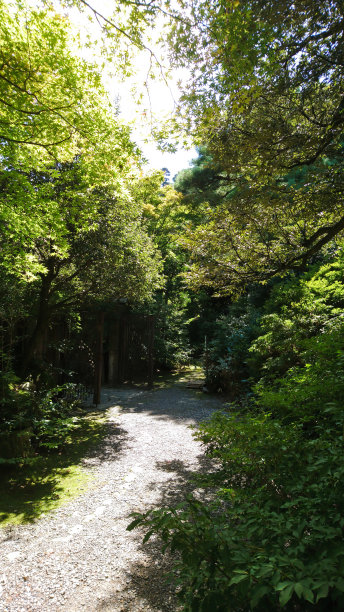 郊野温泉