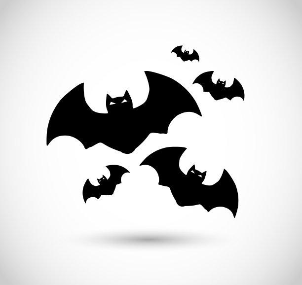 bat