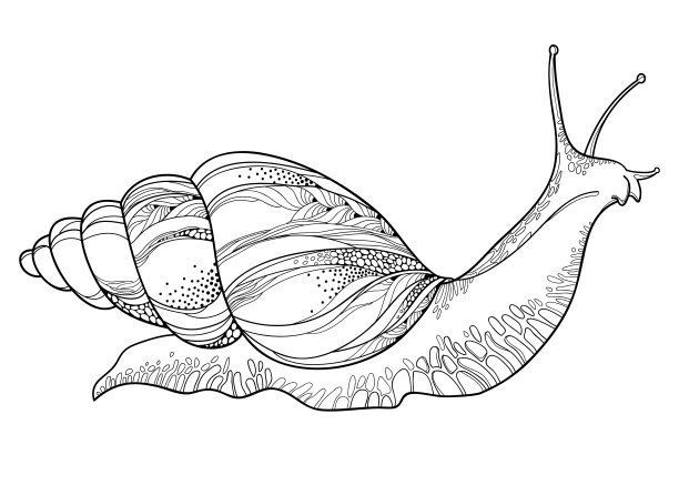 蜗牛,简笔画,矢量图