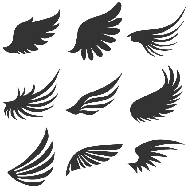 wings