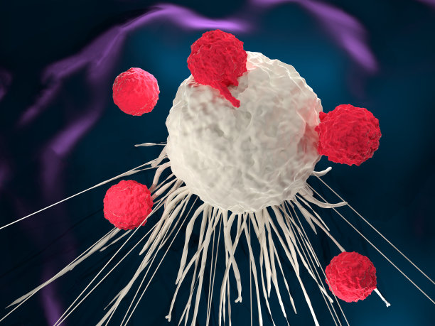 cd4