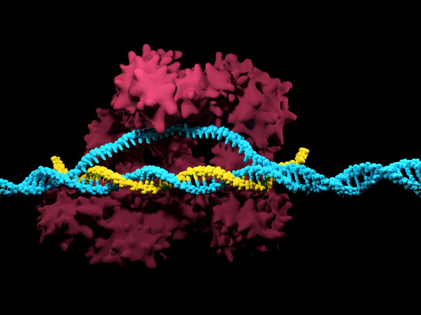 rna