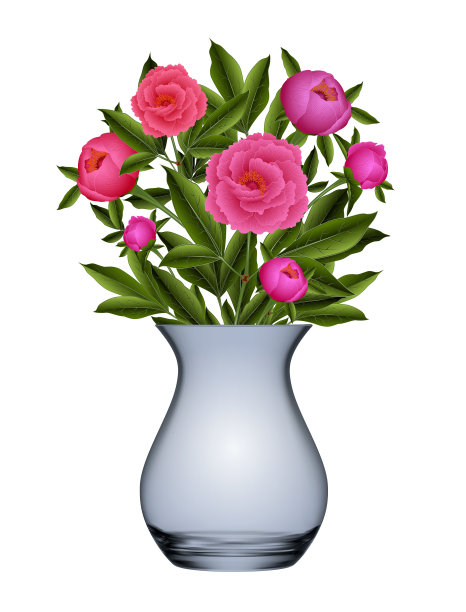 花瓶 花朵 牡丹花矢量