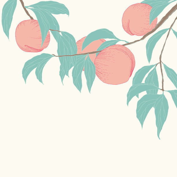 nectarines
