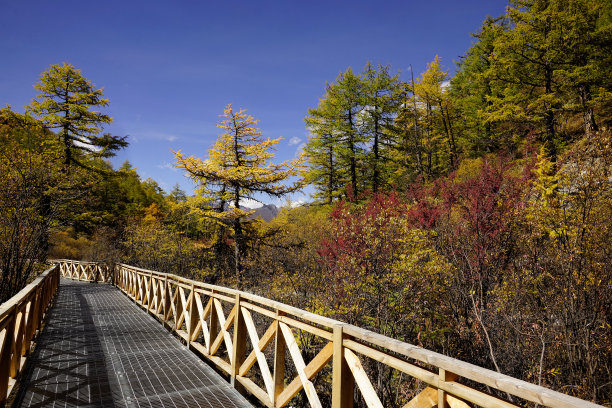 boardwalk