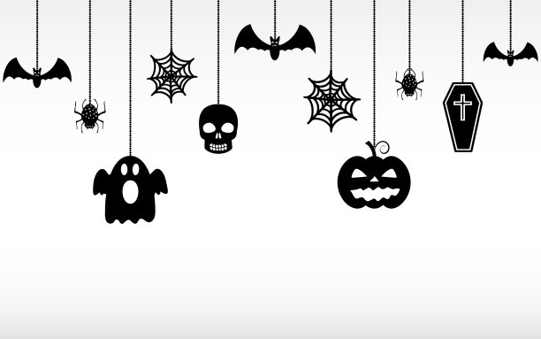 spider