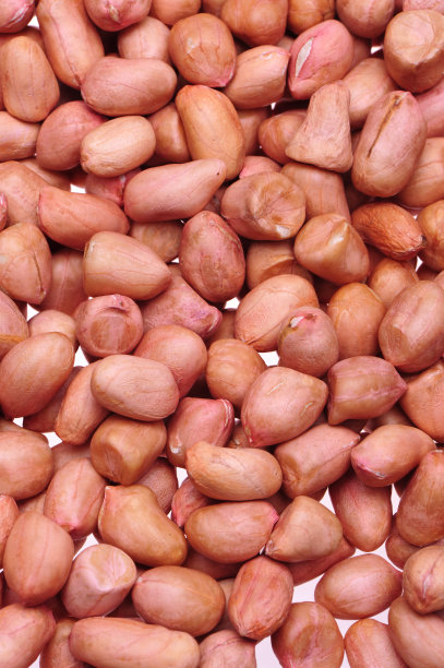 成熟扁豆