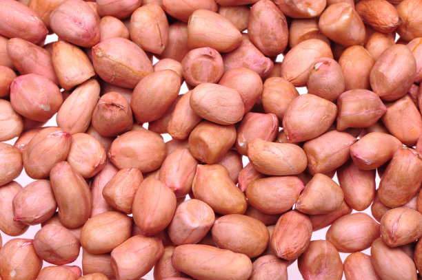 成熟扁豆