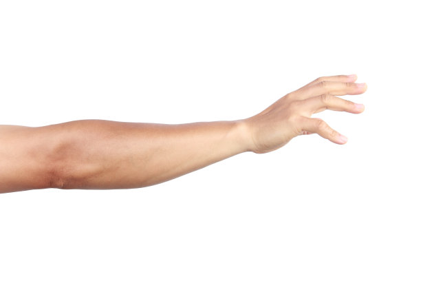 arms