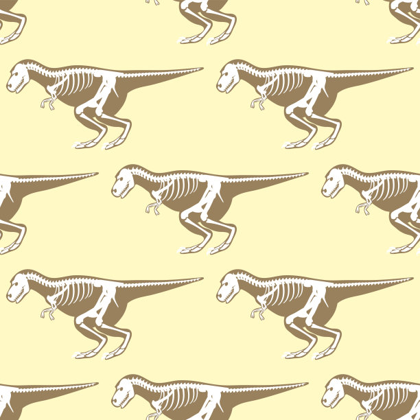 霸王龙骨骼化石