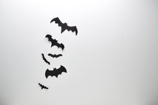 bat