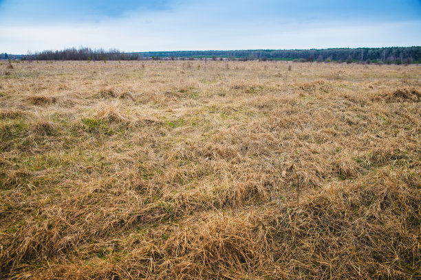 ground