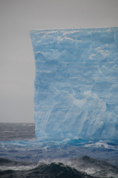 arctic