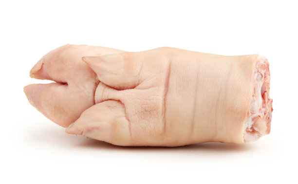 trotter