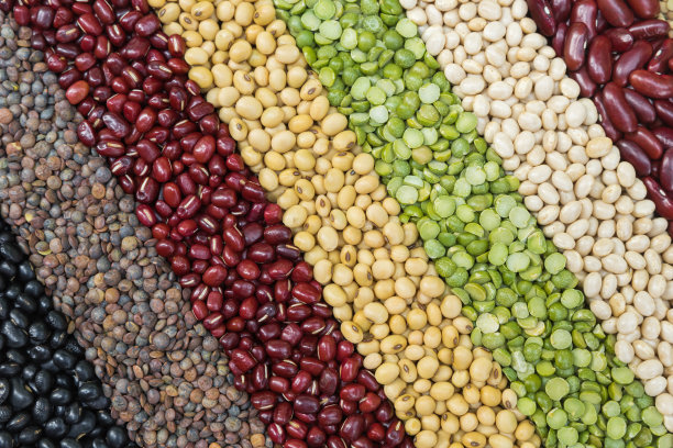 legume