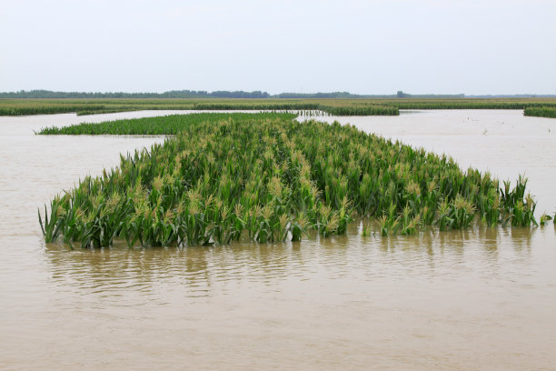 flood