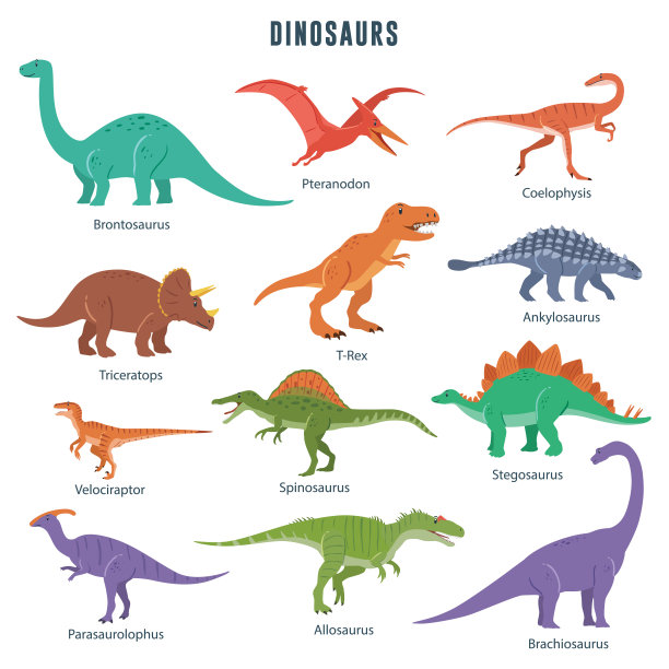 恐龙,恐龙模型