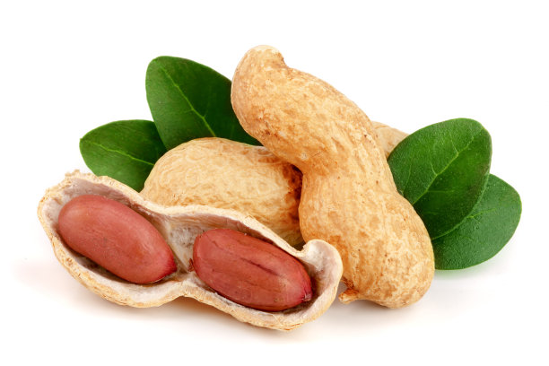 peanut