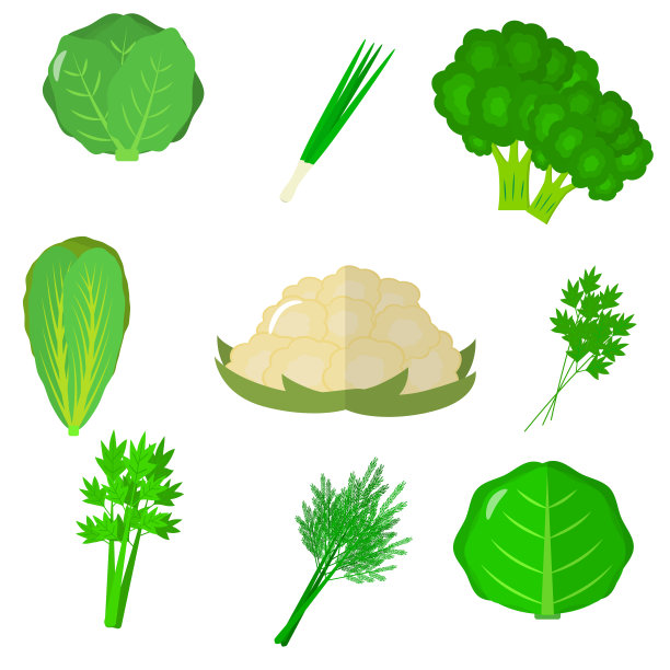 卡通风格的圆白菜插画