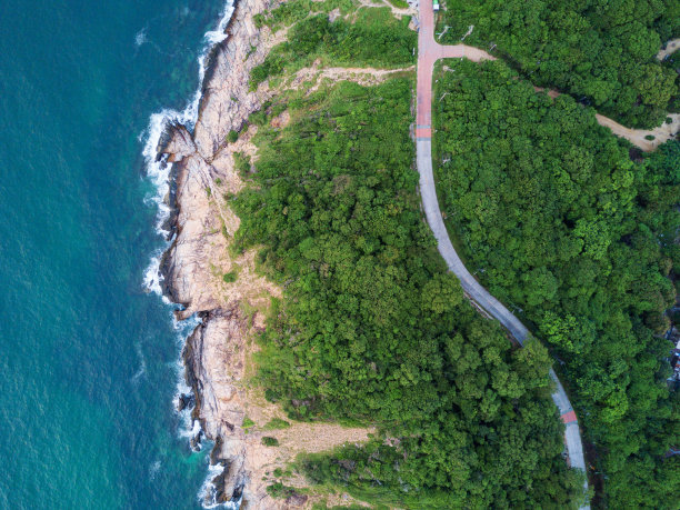 热带雨林公路