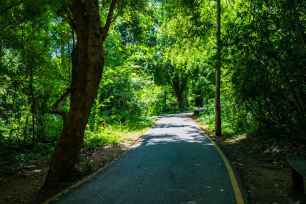 湿地公园观光步道台阶