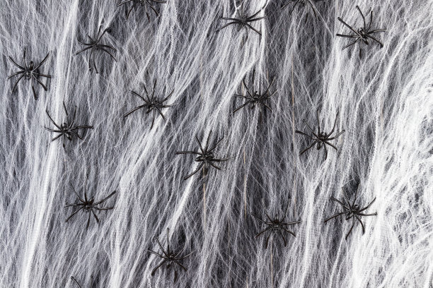 web