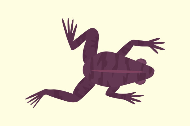 frog